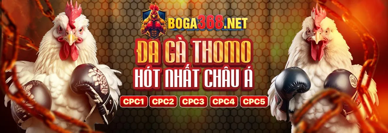 Hình ảnh bảo mật tài khoản người dùng tại tot88