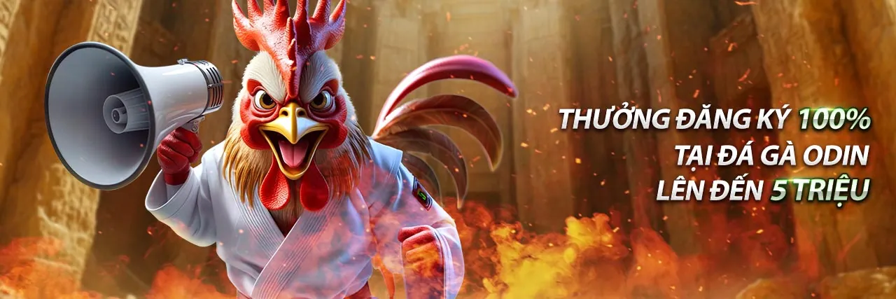 Các trò chơi phổ biến tại đá gà trực tiếp bfg3